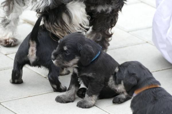 Polly R-Wurf 5 Woche 2025-04-18 001 (129)